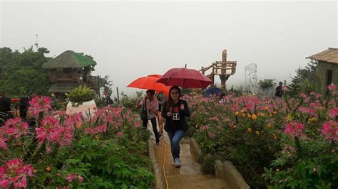 travel agency davao city|Real Breeze Travel and Tours .
